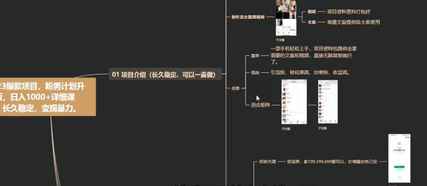  男粉计划升级版，日入 1000+ 详细课程，长久稳定，变现暴力