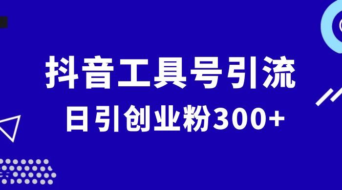 抖音工具号引流玩法，日引创业粉 300+